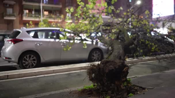 暴風による駐車場での車の所有物の破壊 駐車中の自動車の落下 道路上の自然災害 荒天時の緊急時の概念 — ストック動画