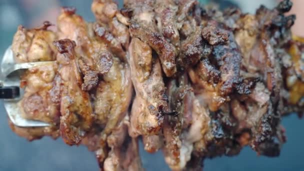 Brocheta Carne Rústica Que Gira Lentamente Tuesta Sobre Fuego Ardiente — Vídeos de Stock