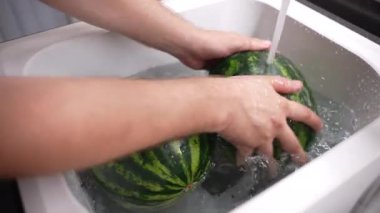 Mutfakta büyük yuvarlak çizgili karpuzları yıkayan kişi sıcak su ve çözünebilir soda ile meyve yüzeyinden, toprak mikroplarından ve bakterilerden endüstriyel kimyasal katkı maddelerini temizler. Saf organik.