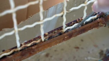 Ağır paslanmış metal yüzey, paslı döküntüleri ve çelik tornavidayla kalıntıları temizleyen eldivenli işçi yıpranmış korozyondan arta kalan topyekün temizlik, paslı kapı kötü durumda. Yüksek kalite
