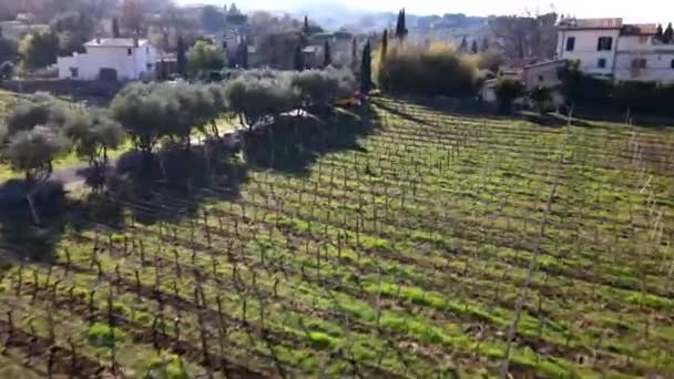 Rome Olaszország November 2022 Szőlőültetvények Légi Kilátása Olasz Vidéken Parkoló — Stock videók