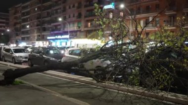 ROME, ITALY - 7 HAZİRAN 2022: Roma caddesinde park edilmiş otomobil mülkü tahribatı, şiddetli rüzgar fırtınası sonrasında devrilen ağaçların camları, iklim değişiklikleri, trafik ve engelleme