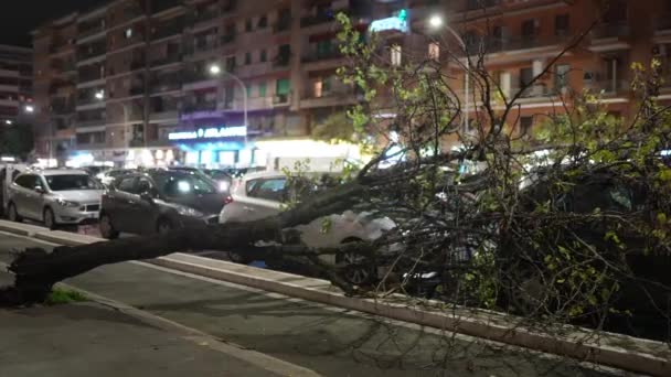 Rome Italie Janvier 2022 Destruction Biens Automobiles Stationnés Dans Rue — Video