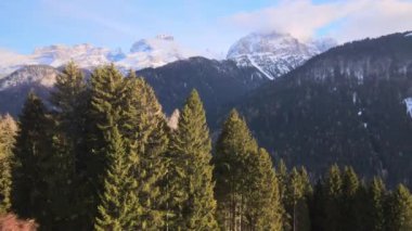 Yüksek orman ağaçlarının üzerinde uçan insansız hava aracı, kışın İsviçre Alpleri 'nin muhteşem manzarası, karla kaplı kaya dağları, İsviçre' deki doğanın güzelliği. Yüksek kalite 4k görüntü