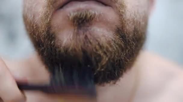 Daily Mans Grooming Procedures Bathroom Man Combing His Beard Grooming — Stockvideo