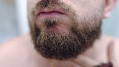 Man combing his beard with special grooming tool in front of the mirror, daily facial procedures of handsome man facial skin care and treatment at home, mans grooming concept. High quality 4k footage