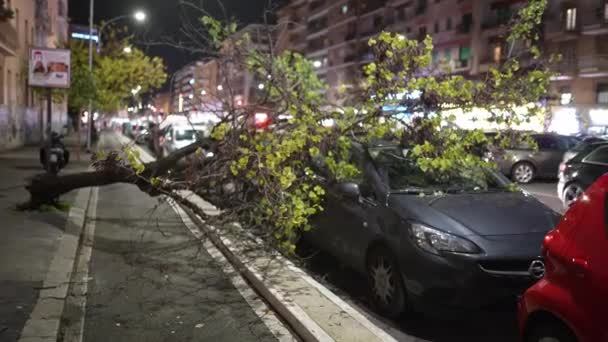 Rome Italy January 2022 Serious Car Property Destruction Because Uprooted — Wideo stockowe