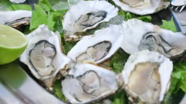 Buz ve limon dilimleriyle servis edilen açık taze istiridyeler Akdeniz mutfağının deniz ürünleri lezzeti deniz ürünleri restoranında kraliyet yumuşakçaları. Yüksek kalite 4k görüntü