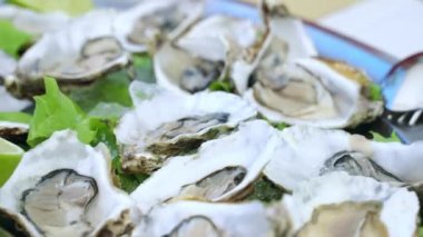 Half open fresh oysters served in luxury mediterranean restaurant on silver tray with ice and lime slices, seafood expensive delicatessen on the tables of mediterranean cuisine, sea food eating