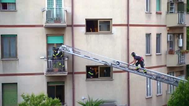 Rome Italy August 2021 Firefighters Working Uniform Protective Helmets Lifting — 图库视频影像