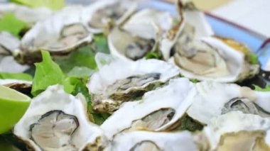 Fresh shellfish oysters served in luxury mediterranean restaurant on tray with lemon slices and ice cubes, open oysters as a delicacy of seafood cuisine, expensive fresh oysters, seafood appetizers