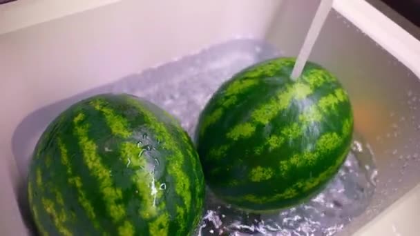 Striped Watermelons White Sink Water Flow Top View Shot Ripe — Stockvideo