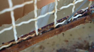 Person using skrewdriver to remove rusty debris from the corroded metal gate, ruined eroded steel fence on construction site, metal grid in bad conditions, corrosion and rust ruined iron. High quality