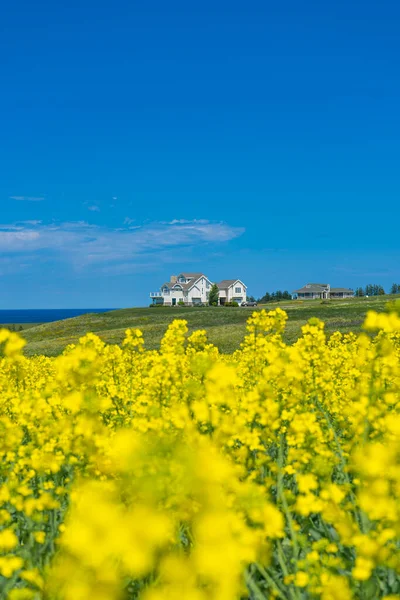 A serene view of a house with Ocean and Farm surrounded in Prince Edward Island, Canada