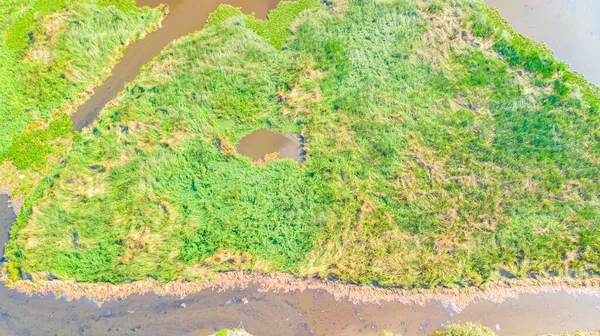 パリカラナイ湿原の空中風景湖と緑の芝生 チェンナイ タミル ナードゥ州 — ストック写真