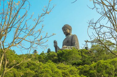 Hong Kong, Lantau adasındaki Ngong Ping köyünde Tian Tan Buddha