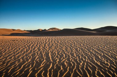 Fas 'ın Mhamid bölgesindeki Sahra çölünde.