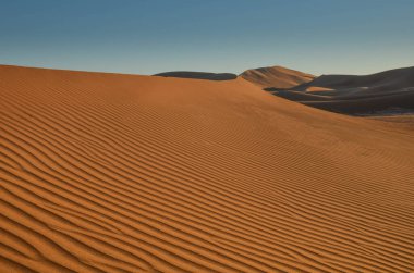 Fas 'ın Mhamid bölgesindeki Sahra çölünde.