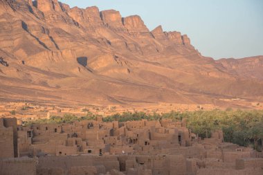 Tamnougalt caddesi boyunca palmiye ağaçları, Fas
