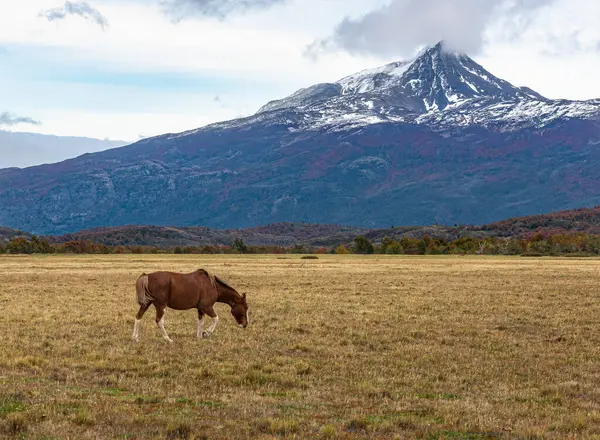 Torres del Paine Ulusal Parkı, Şili, Patagonya