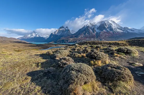 Torres del Paine Ulusal Parkı, Şili, Patagonya