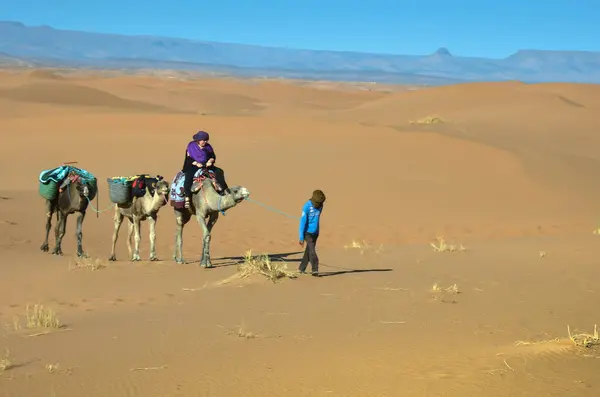 Fas 'ın Mhamid bölgesindeki Sahra çölünde.