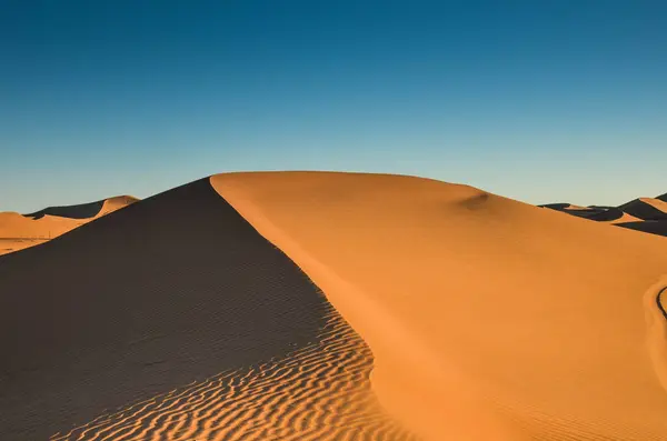 Fas 'ın Mhamid bölgesindeki Sahra çölünde.