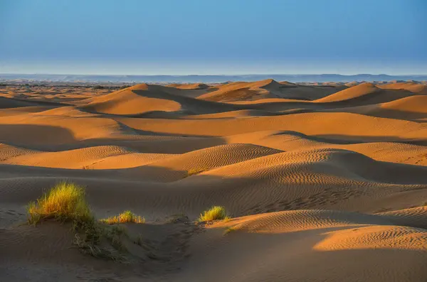Fas 'ın Mhamid bölgesindeki Sahra çölünde.