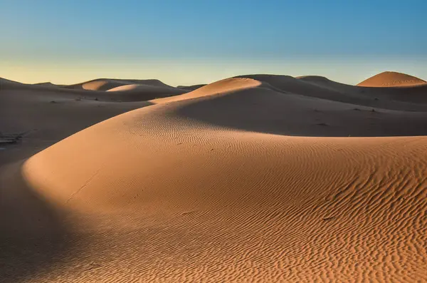 Fas 'ın Mhamid bölgesindeki Sahra çölünde.