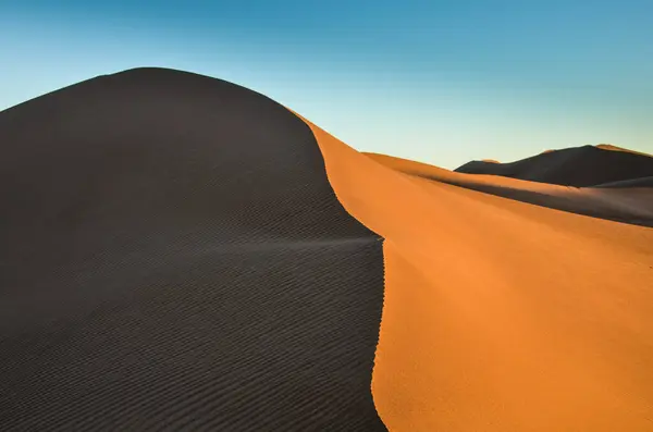 Fas 'ın Mhamid bölgesindeki Sahra çölünde.