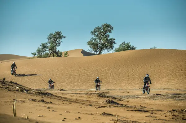 Fas 'ın Mhamid bölgesindeki Sahra çölünde.