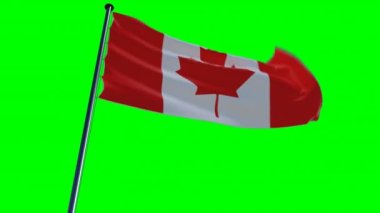 Kanada Bayrağı, genel merkez destansı bir arka plan, yeşil ekran, alfa kanalı üzerinde canlandırıldı