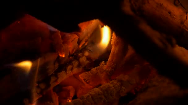 Beautiful Burning Campfire Close View — Video Stock