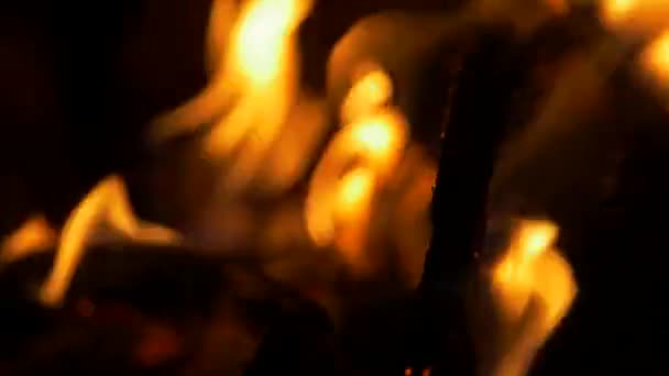 Beautiful Burning Campfire Close View — Vídeos de Stock