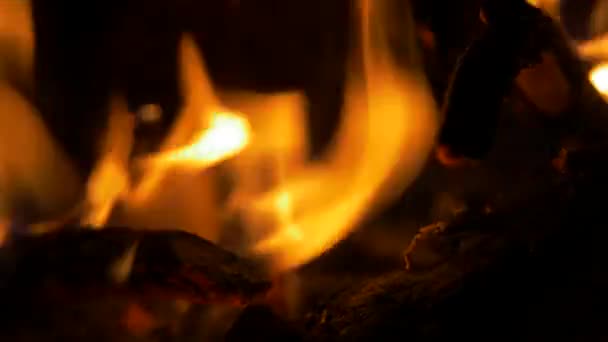 Beautiful Burning Campfire Close View — Video