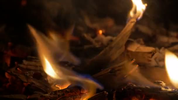 Oheň Táborák Krb Detailní Záběr — Stock video