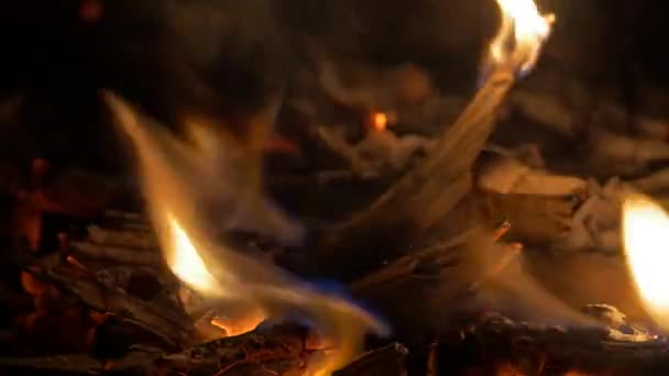 Oheň Táborák Krb Detailní Záběr — Stock video