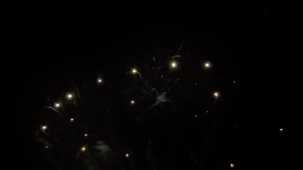 Vuurwerk Bij Nacht Hemel Oudejaarsavond — Stockvideo