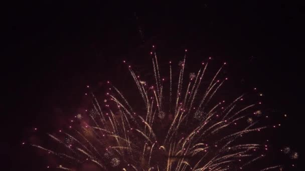 Gece Gökyüzünde Havai Fişekler Yeni Yıl Arifesi — Stok video
