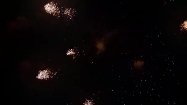 Fuegos Artificiales Cielo Nocturno Nochevieja — Vídeos de Stock