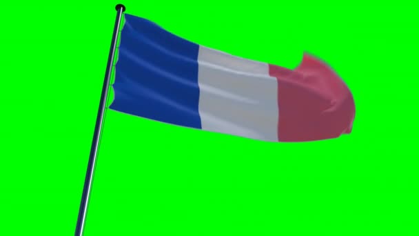 França Bandeira Animado Fundo Épico Tela Verde Alfa — Vídeo de Stock