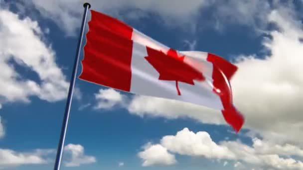 Kanada Bayrağı Genel Merkez Destansı Bir Arka Planda Canlandırılmış Tarafsız — Stok video