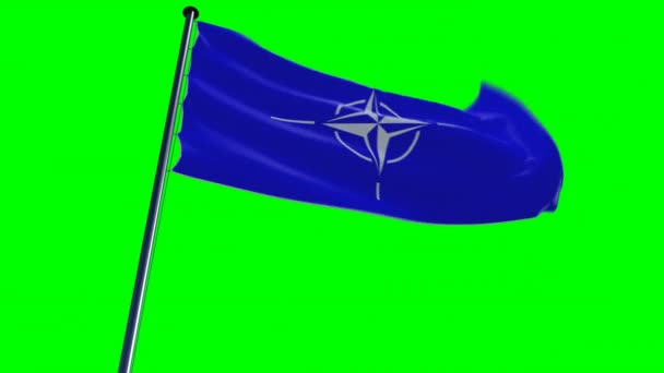 Nato Bayrağı Karargah Destansı Arka Plan Alfa Yeşil Ekran Üzerinde — Stok video