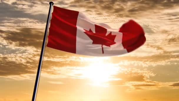 Bandera Canadá Sede Animada Sobre Fondo Épico — Vídeos de Stock