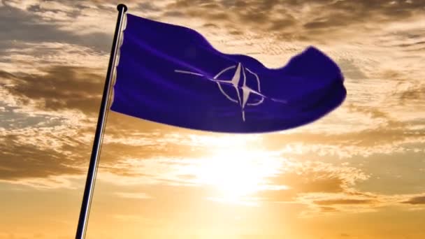 Nato旗 Hqは壮大な背景 日没にアニメーション化されました — ストック動画
