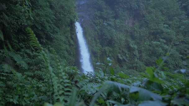Catarata Del Toro Καταρράκτης Κόστα Ρίκα — Αρχείο Βίντεο