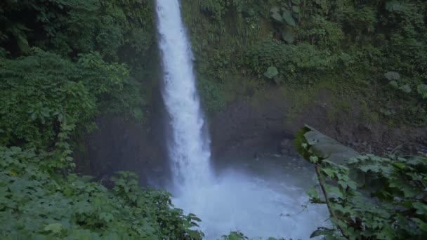 Catarata Del Toro Waterfall Коста Рика — стоковое видео