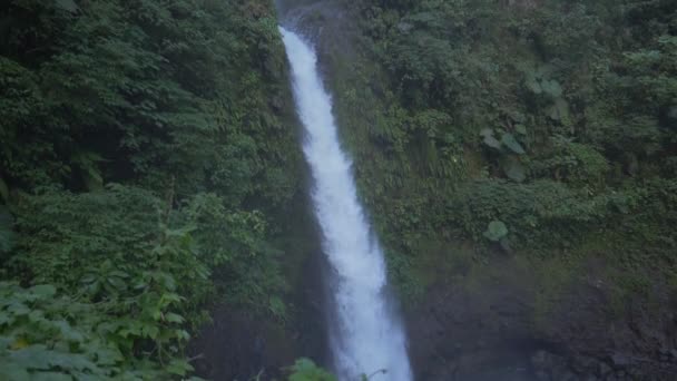 Catarata Del Toro Waterfall Коста Рика — стоковое видео