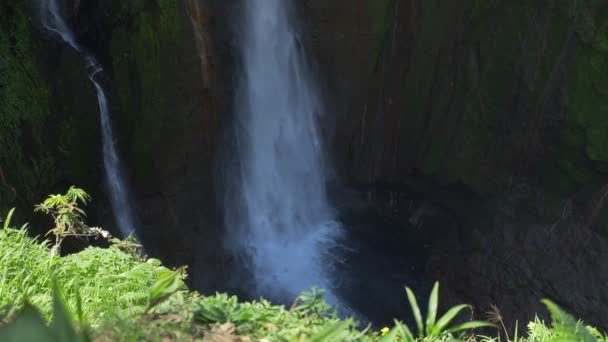 Catarata Del Toro Cascada Costa Rica — Vídeo de stock