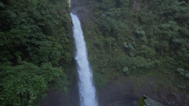 Catarata Del Toro Waterfall Costa Rica — Stock Video